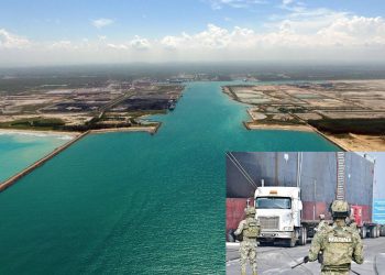 ASF advirtió de fallas en los puertos