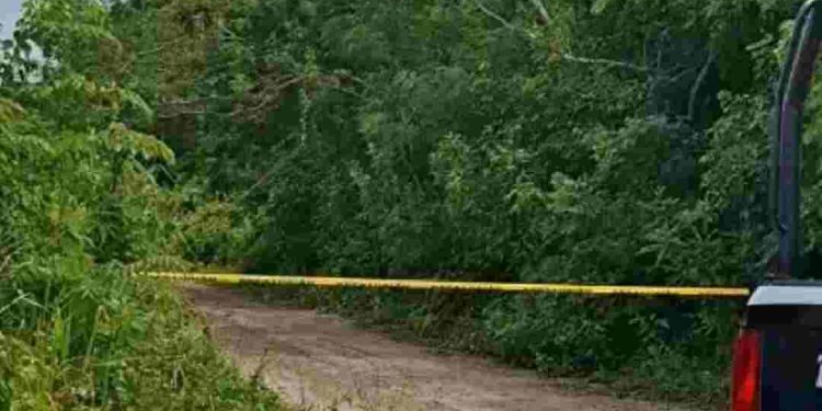 Localizan cuerpo con narcomensaje en Bacalar
