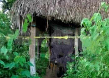 Hallan sin vida a hombre desaparecido en zona de monte en Chen Kekén, Tizimín