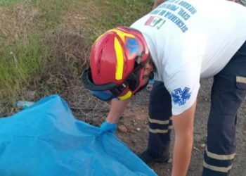 Muere ciclista veracruzano arrollado en la curva de Punta Maroma, carretera Playa-Cancún