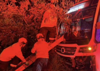 Camión de personal se incrusta en la selva tras accidente en la avenida Colosio