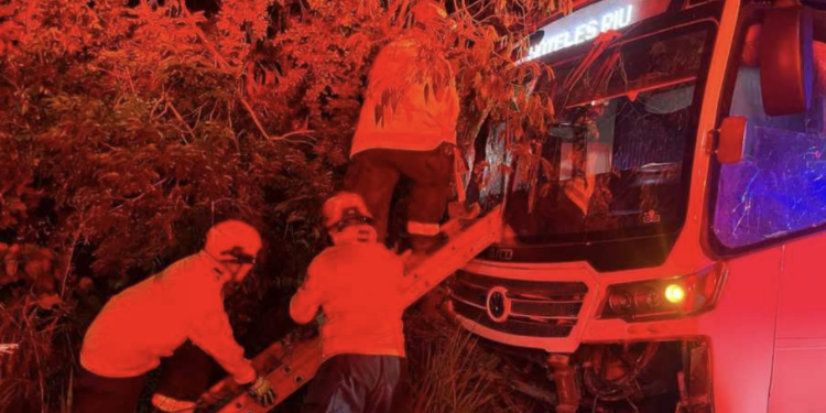 Camión de personal se incrusta en la selva tras accidente en la avenida Colosio