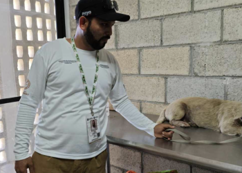 Rescatan a la perrita Xóchitl tras denuncia de maltrato en Playa del Carmen