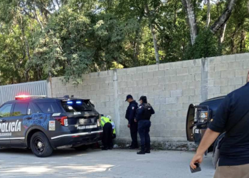 Detienen a sujeto tras presunto abuso de perrita en Playa del Carmen