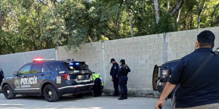 Detienen a sujeto tras presunto abuso de perrita en Playa del Carmen