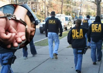 DEA detiene a 617 personas del Cártel de Sinaloa en megaoperativo