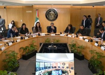 Amplían diputados vigencia de patentes aduanales hasta 40 años