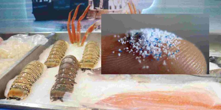 Microplásticos afectan Pescados y mariscos afectados poren Cancún