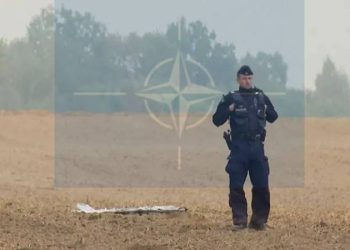 Polonia invoca artículo 4