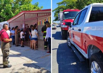 Abejas atacan jardín de niños en Cancún: sorprendidos maestros e intendentes