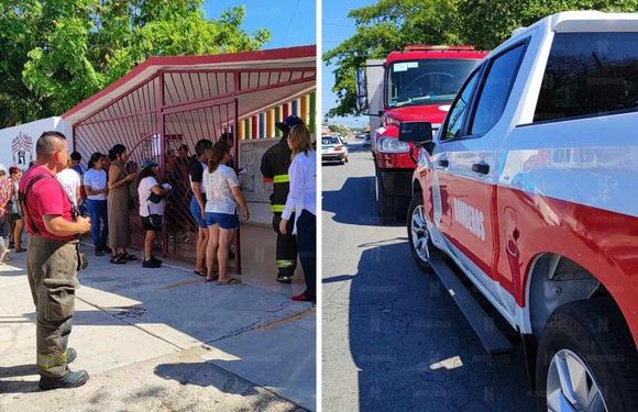 Abejas atacan jardín de niños en Cancún: sorprendidos maestros e intendentes
