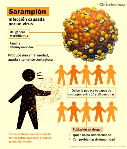 Muertes en México por sarampión: