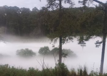 Fuga de gas en Tlaxcala obliga a evacuar a más de 3 mil personas