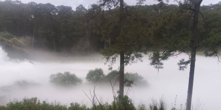 Fuga de gas en Tlaxcala obliga a evacuar a más de 3 mil personas