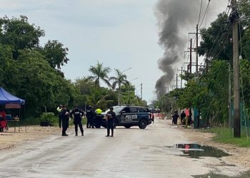 Frenan invasión y tala ilegal en terrenos ejidales de Playa del Carmen