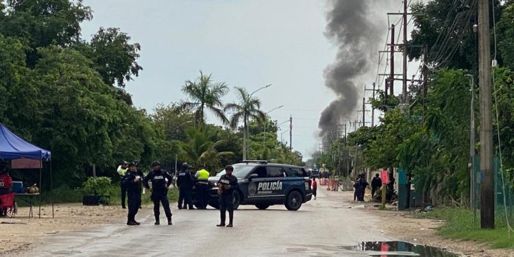 Frenan invasión y tala ilegal en terrenos ejidales de Playa del Carmen