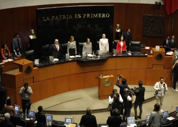 aprueban ley aduanera