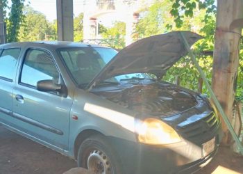 Boa aparece en motor de auto en José María Morelos