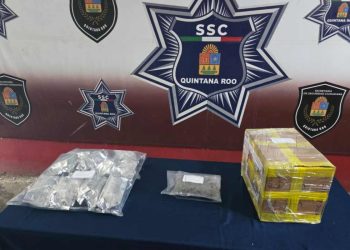 Binomio canino detecta posible marihuana en empresa de paquetería en Alfredo V. Bonfil