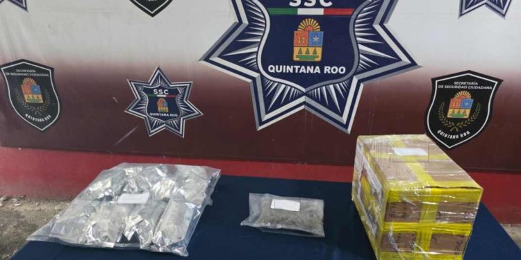 Binomio canino detecta posible marihuana en empresa de paquetería en Alfredo V. Bonfil