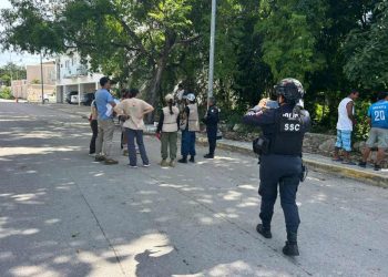 Venado aparece desorientado en colonia de Tulum y es rescatado por vecinos