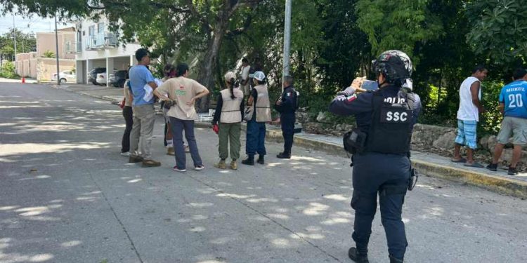 Venado aparece desorientado en colonia de Tulum y es rescatado por vecinos