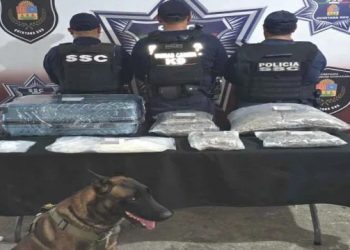 Maleta con drogas es asegurada en terminal de autobuses de Cancún