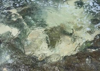 agua salada en Quintana Roo