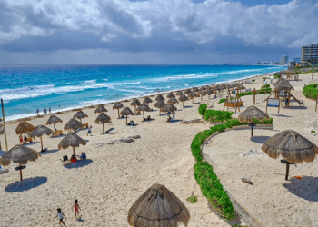 Preocupa aumento de DNR en Quintana Roo: empresarios alertan impacto