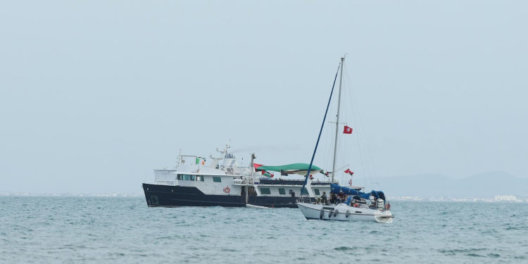 voluntarios para ayudar a Gaza