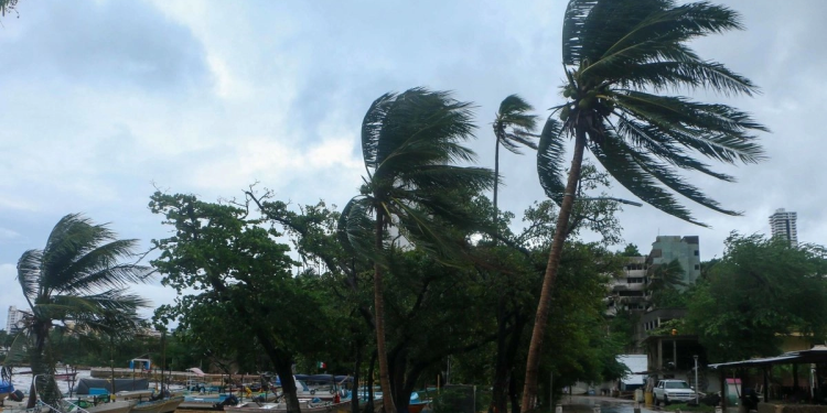 Raymond en Baja California Sur