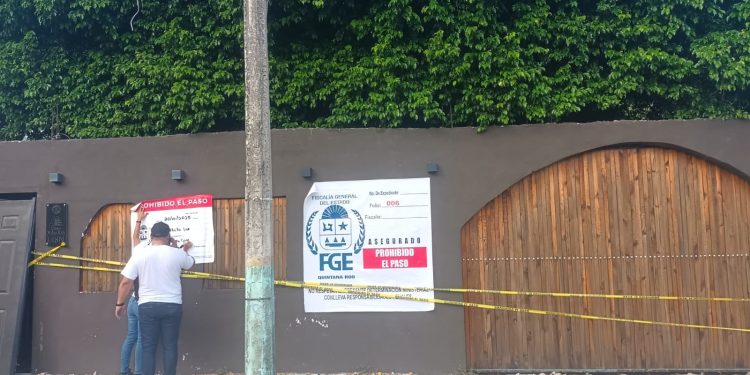 crematorio de mascotas en Chetumal