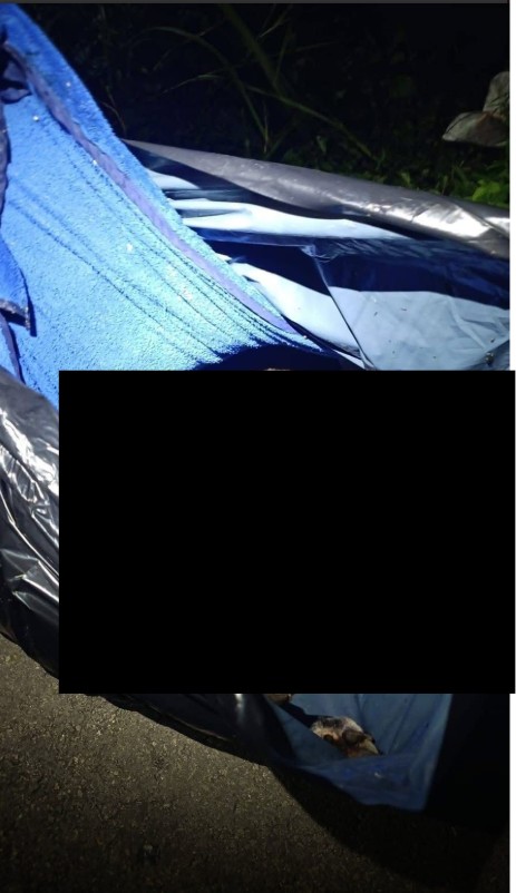 ¿Dónde fueron hallados los restos y en qué condiciones se encontraron?