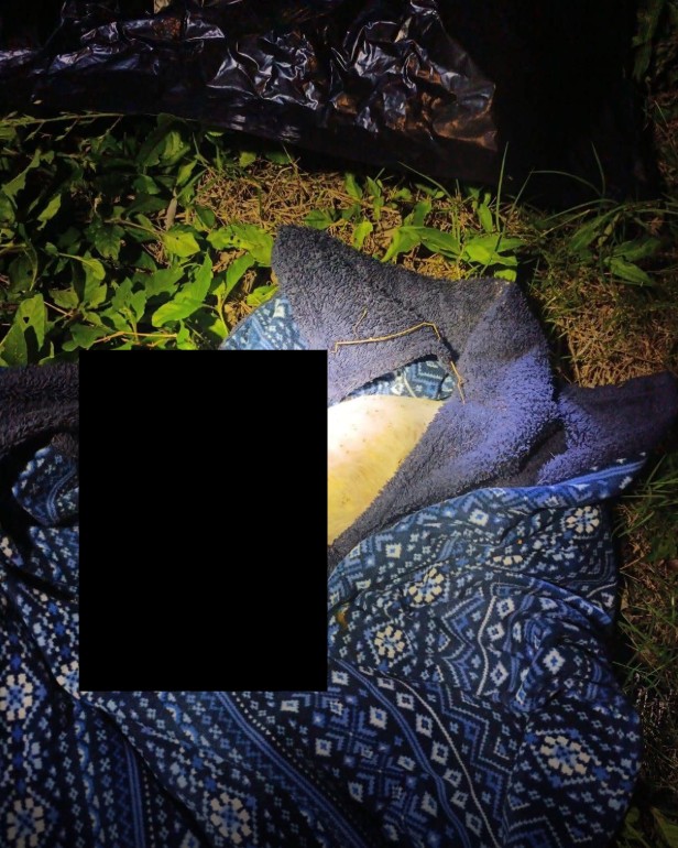 ¿Qué acciones legales y administrativas se están tomando?