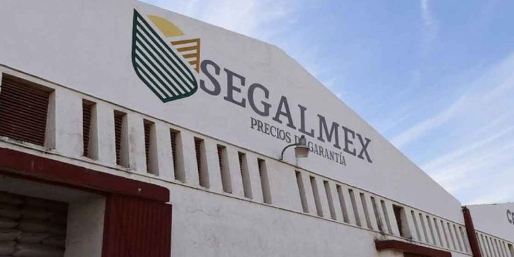 caso segalmex