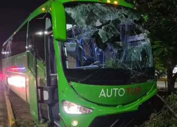 Autobús se estrella contra árbol en la avenida Tulum