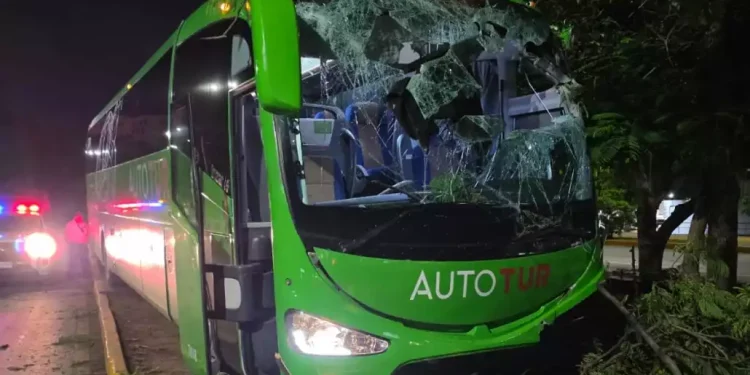 Autobús se estrella contra árbol en la avenida Tulum
