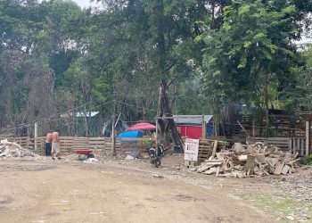 Urge proteger cenotes en Playa del Carmen: biólogo lanza alerta por contaminación