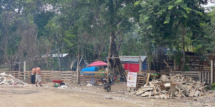Urge proteger cenotes en Playa del Carmen: biólogo lanza alerta por contaminación