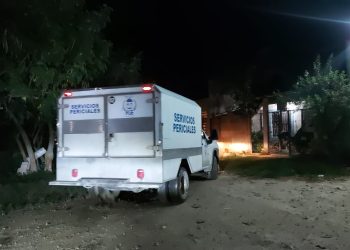 Hallan cadáver en la colonia San Vicente de Cancún