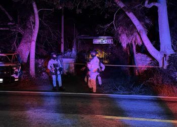 Colectivo Verdad y Memoria exige investigación tras hallazgo de cementerio clandestino en Quintana Roo