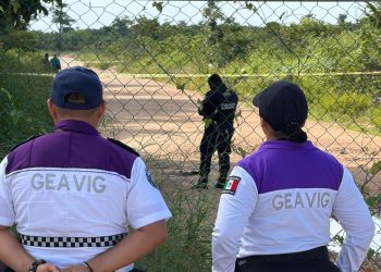 Hallan cuerpo de un hombre suspendido de un árbol en un área verde de Prado Norte, Región 260