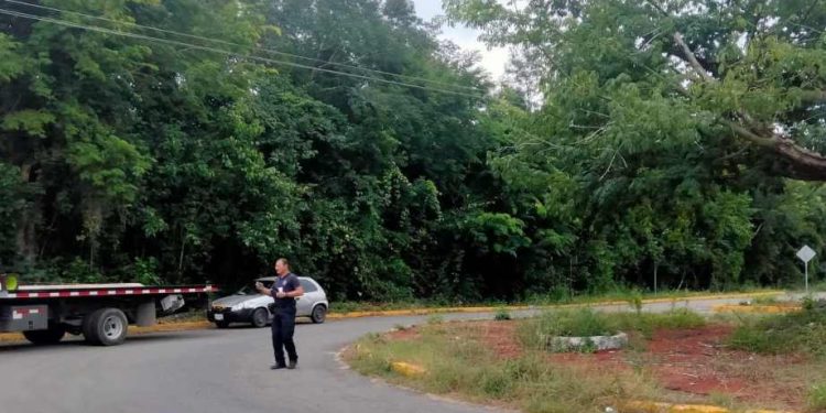 Campesino pierde la vida tras accidente en carretera a Laguna Guerrero; conductor adolescente fue detenido