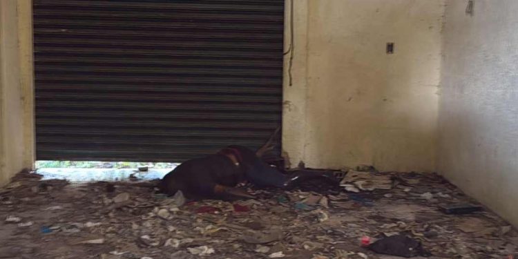 Encuentran cadáver en bodega abandonada de la Colonia Primera Legislatura en Chetumal