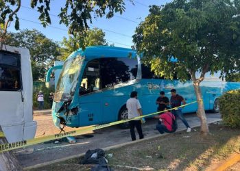 Conductor muere tras choque en la 307