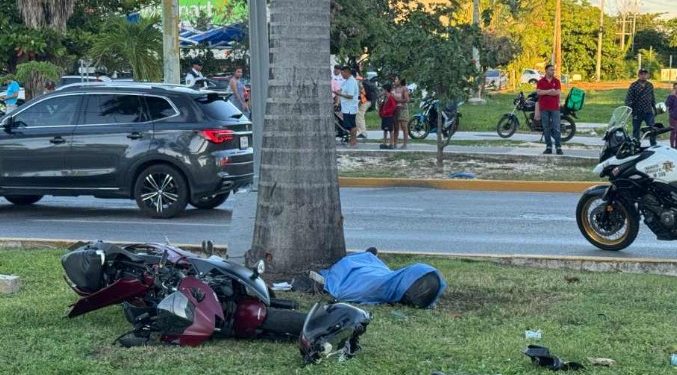 Motociclista pierde la vida tras estrellarse contra una palmera en la avenida Bonampak