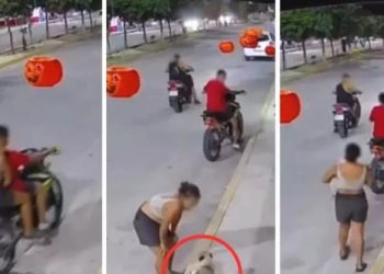 Robo de perro pug en Cancún alerta a la comunidad