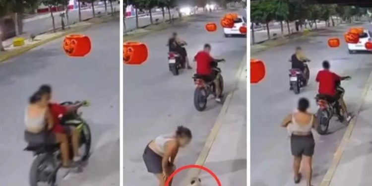 Robo de perro pug en Cancún alerta a la comunidad