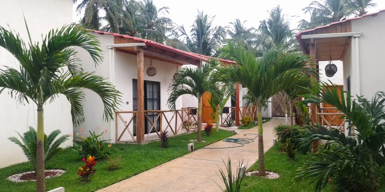 Profepa clausura predios en Huamantla y Centla