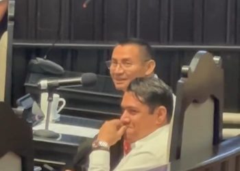 fighting de diputado